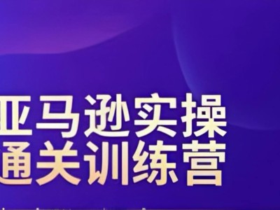 2025-2026老陈聊跨境合集(更新3月)：亚马逊实操通关训练营！