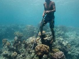 央视力荐纪录片《南海猎人》(2015) 3集 1080P 英语 中文字幕【3.3G】见识真正的海王!