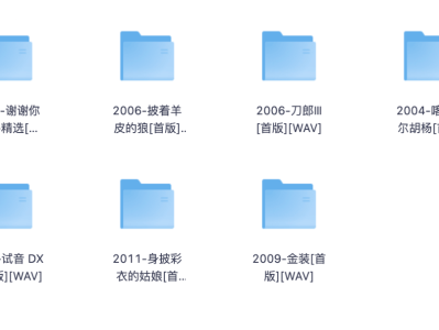 刀郎出道至今的16张专辑 共205首无损音乐歌曲 [WAV][12G]