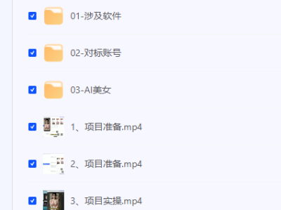【AI视频换脸软件，无缝衔接100%过原创技术，搬运打s粉必备】[306.08MB]