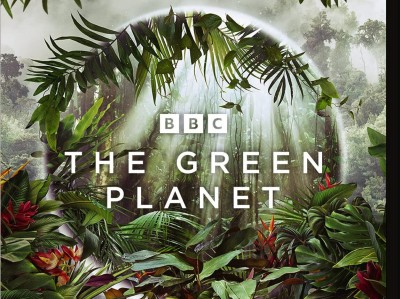 BBC纪录片 绿色星球(2022)【4K 蓝光 HDR】 国英双语TrueHD 7.1 【内封英简繁SUP字幕】 全5集【48.9G】