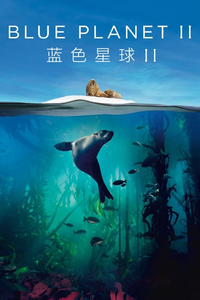poster_aab3568920b5448991fbbffbad04a2a5.webp